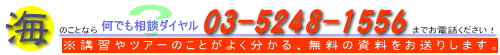 ダイビングスクール＆ショップ　シーアビス　の何でも相談ダイヤル　０３－５２４８－１５５６